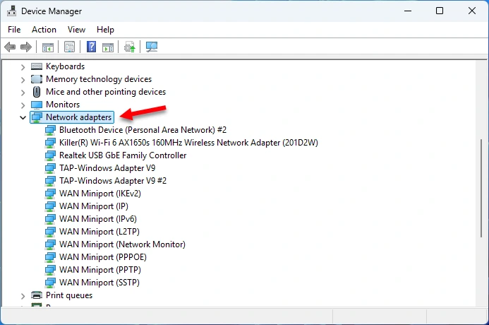 Network Adapters tab in Windows 11 Device Manager