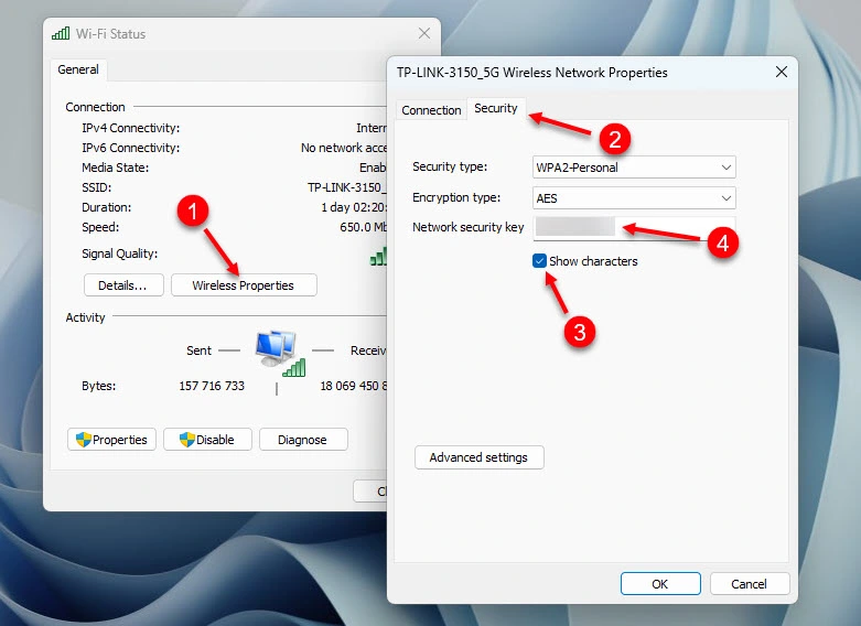 Network Security Key in the Wi-Fi network properties in Windows 11